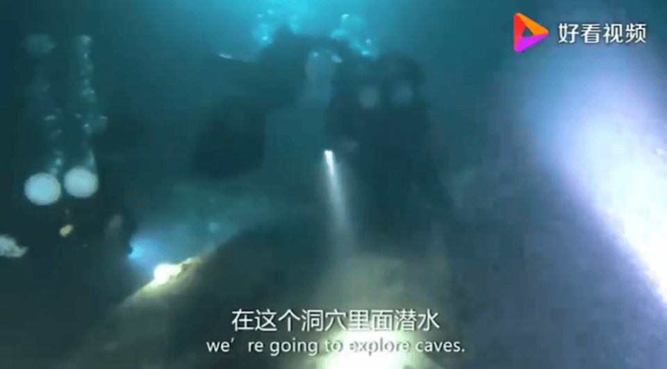 侣行夫妇的记录，中国最牛夫妻：北极求婚