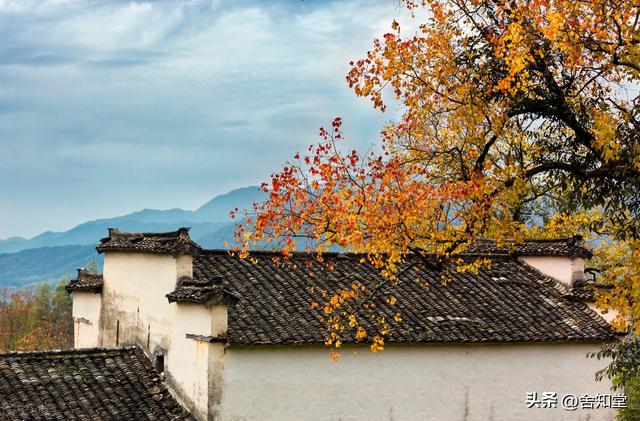 不能说的秘密结局，不能说的秘密结局官方解释（<长篇连载廿九>现实版《隐入尘烟》鲁南农村的拆迁）