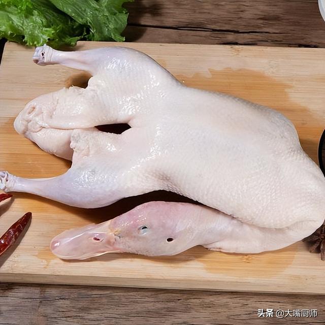 鸭子是什么动物，水里游黑色类似鸭子是什么动物（一只活鸭要90元）