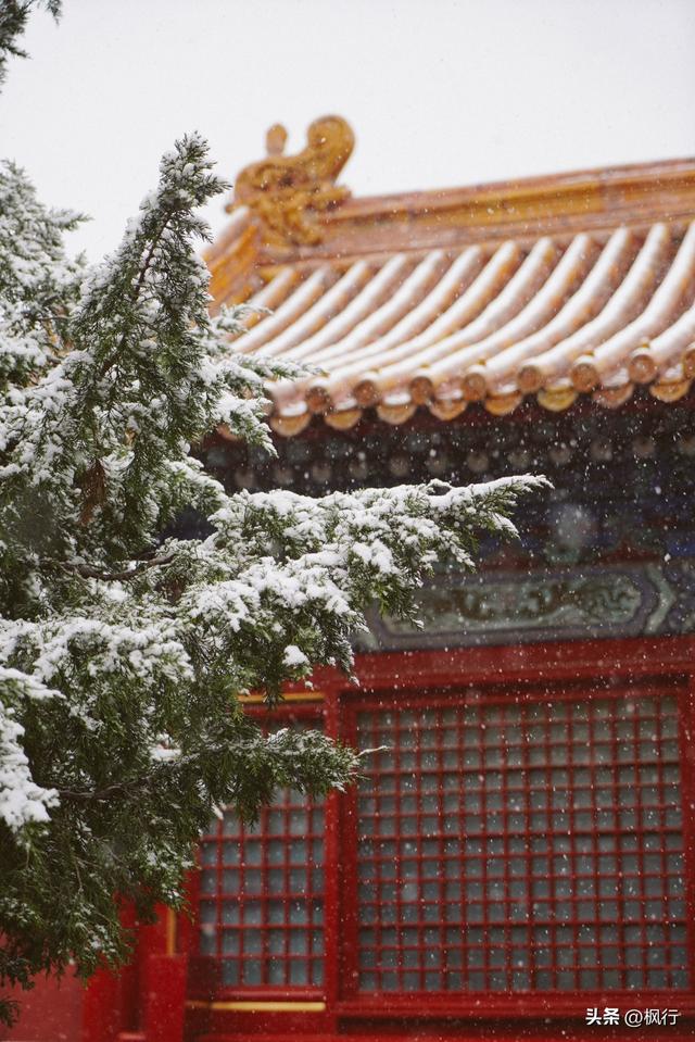 冬天去北京怎么玩，冬天去北京要注意什么（<附低体力拍照攻略>）