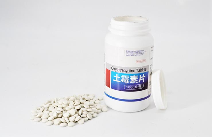 狗发烧吃什么药(狗狗发烧吃什么药管用)