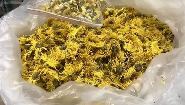 菊花的特点和品质是什么，菊花的 品质（记住“2要2不要”）