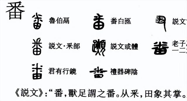 采字的意思是什么，采这个字的意思是什么（字的前世今生）