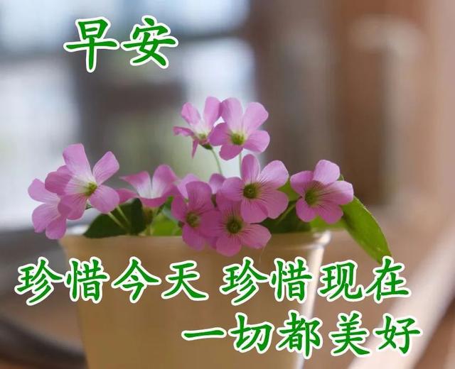 早晨的说说唯美句子，早晨充满正能量的句子（早安心语问候语录大全）