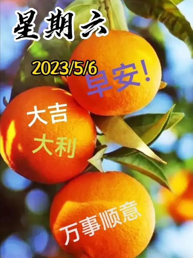 早安问候语每日更新，早上好短句早安问候语每日更新（亲切的暖心问候语）