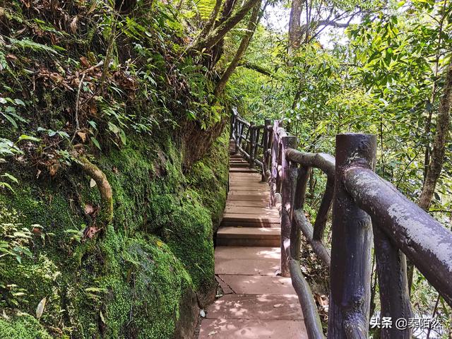怎样游览邛崃天台山，去邛崃天台山（2022夏日自驾旅行体验）