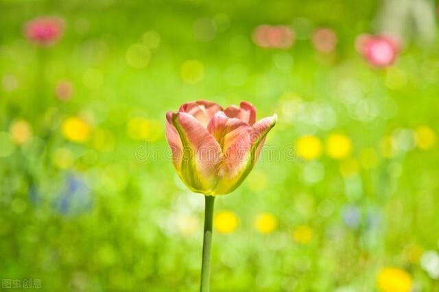 试问苍天饶过谁的上一句，苍天饶过谁的前一句是啥（心怀善念，福气相伴）