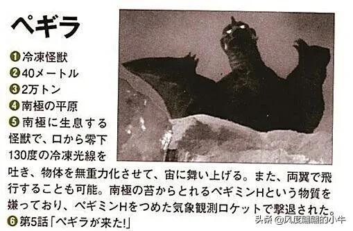 手q是什么意思，手Q是什么意思（奥特Q怪兽图鉴）