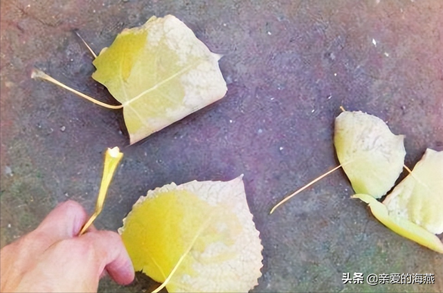 盘点小时候你没有玩过的玩具，农村孩子自制的33种难忘的玩具