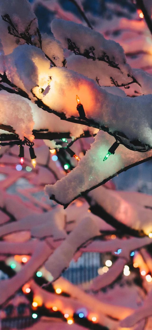 什么多彩四字词语，四字词语唯美（绚烂多彩…）