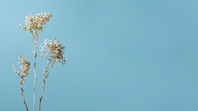 遇到小人怎么办，遇到了小人怎么办（比较有效的化解方法）