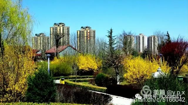 南山公园在哪里，深圳大南山公园开放时间（这是你们熟悉的那个南山公园吗）