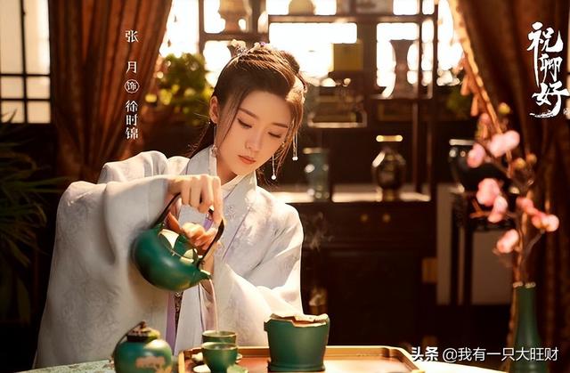 我的锦衣卫大人电视剧，我的专属锦衣卫（世间唯有刘泠能让徐时锦倾尽一切）