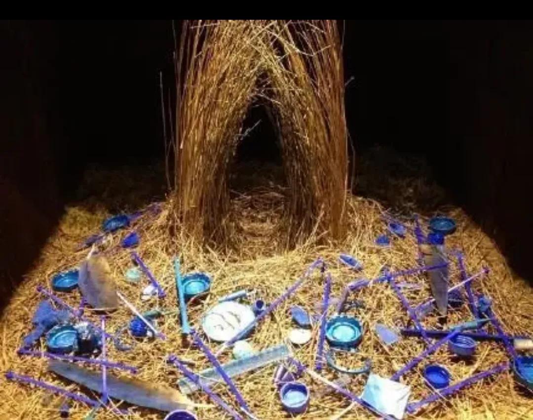 动物界的建筑师，动物界的建筑师是谁呀（动物界的知名建筑大师）