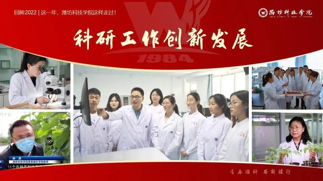 潍坊科技学院图书馆，潍坊科技学院的专升本（这一年，潍坊科技学院这样走过）