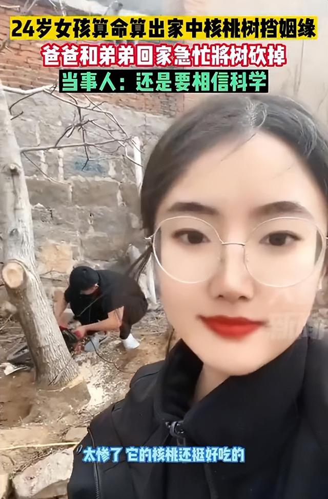 算命核桃树挡姻缘，核桃树代表什么风水（女子算命核桃树挡姻缘家人将树砍掉）