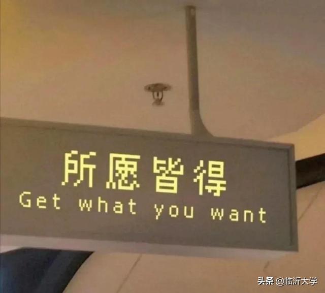 什么盛开四字成语，什么盛开的四字词语有哪些（你若盛开，蝴蝶自来）