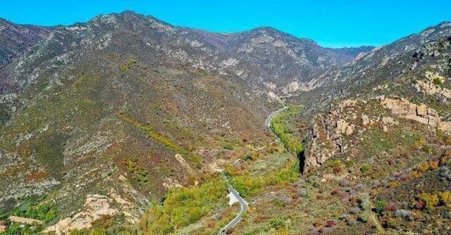 玛格丽特公主，玛格丽特公主的一生（双性人的日子到底有多苦）