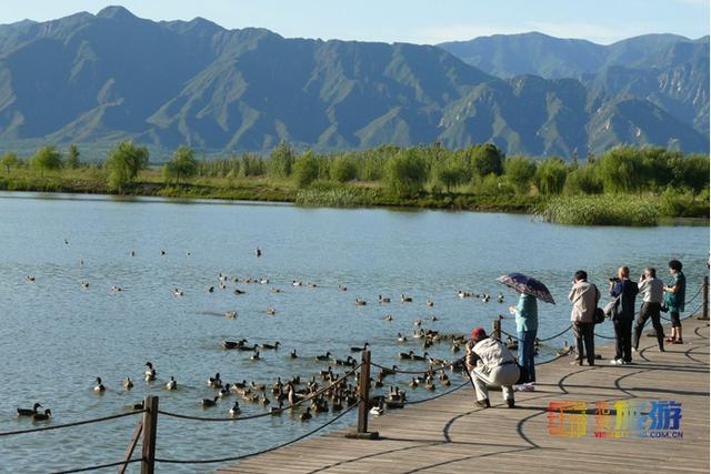 关于长城的旅游介绍，国庆去哪玩 ， 长城文化之旅