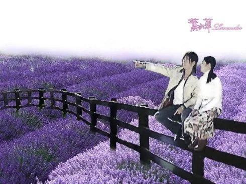 记忆是阵阵花香，歌词里面什么花香是什么歌（令人怀念的场景不容错过）