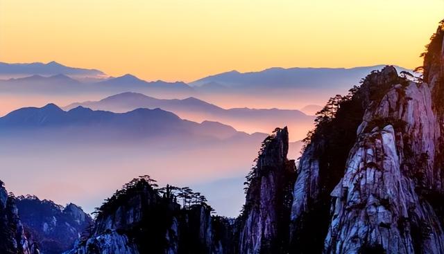 世界最珍贵的树木排名是什么，世界上最名贵的树木是叫什么名字（我国3棵“贵族名树”）