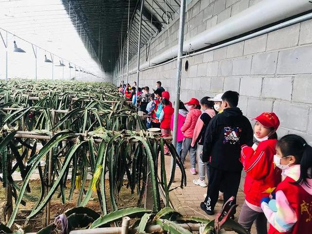 普罗旺斯薰衣草花语，普罗旺斯薰衣草简介（威海临港竟藏有一个“普罗旺斯”）