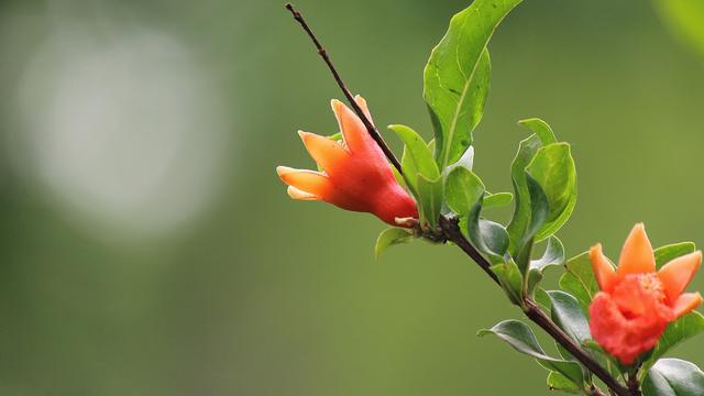 9月30号是什么星座，农历九月三十（9月30日星座运势：勤能补拙）