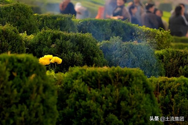 清明节可以扫墓吗，清明节能去扫墓吗（2022年清明上坟时间有什么讲究）