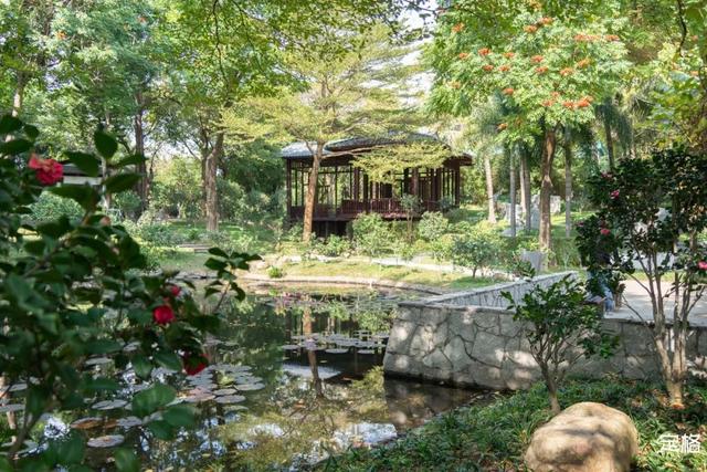 深圳好玩的免费景点，深圳哪里好玩的景点（来深圳这10个地方免费玩）