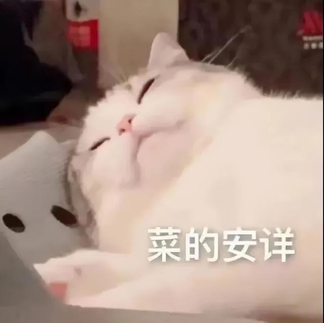 十年脑血栓的沙雕网名，十年脑血栓的沙雕群名（那些没有十年脑血栓想不出的沙雕文案2.0）