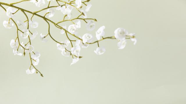 回忆初见唯美句子，回忆初相识的句子（人生最美，莫若初见）