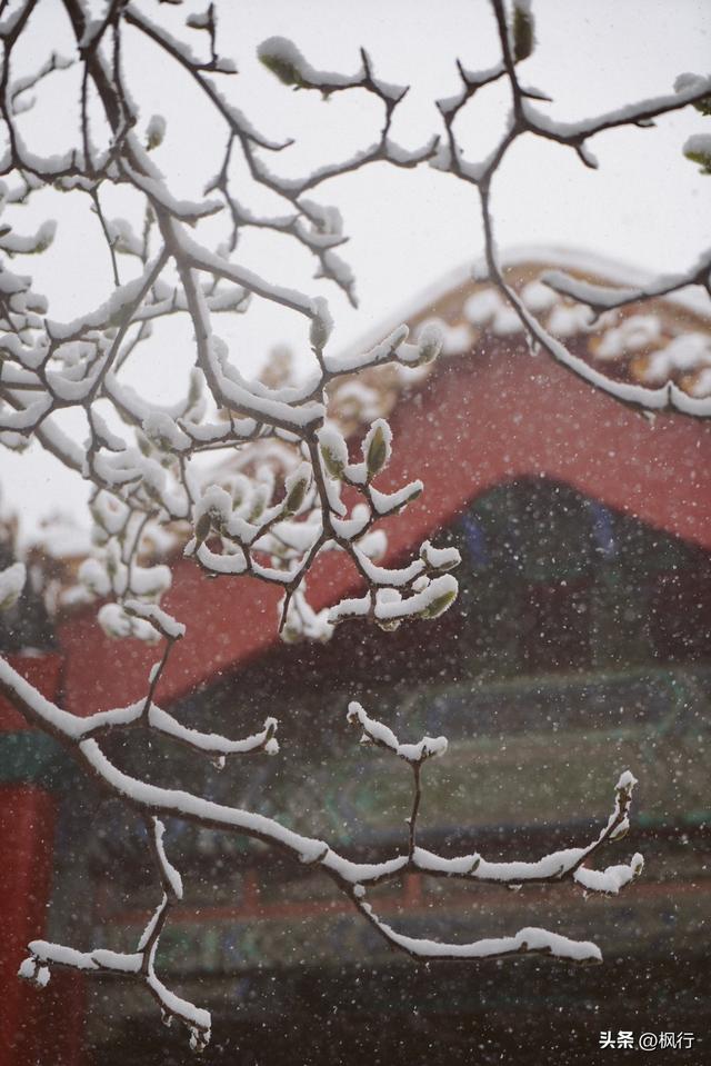 冬天去北京怎么玩，冬天去北京要注意什么（<附低体力拍照攻略>）