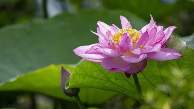 聊天不要嗯嗯嗯嗯嗯，热情点。，嗯嗯嗯的说话（会让对方爱你上瘾图片）