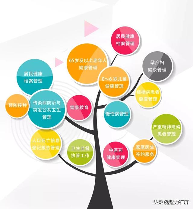 公共卫生服务项目,国家基本公共卫生服务项目(14项国家基本公共卫生服务项目) 公共卫生服务项目,国家基本公共卫生服务项目(14项国家基本公共卫生服务项目)
