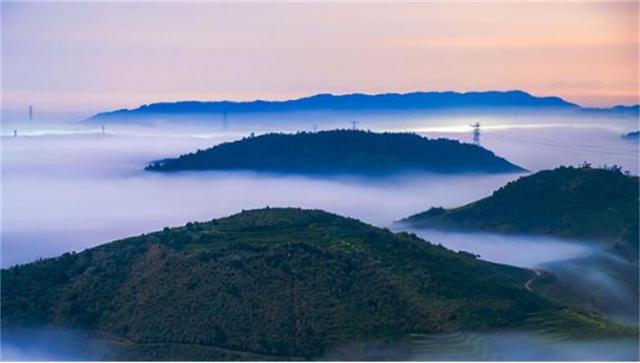 河南好茶推荐，行走河南·读懂中国丨信阳
