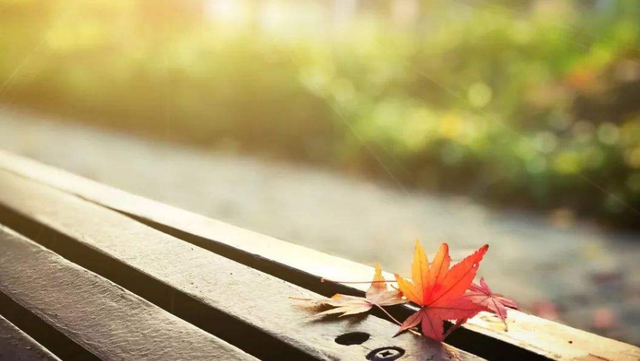 记录美好时光的句子，记录美好时光的短句（怀念曾经的美好时光）