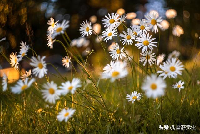 怎么聊天可以让男生变硬，让男生变硬的句子聊天（还要有4种“硬实力”）