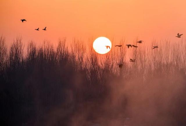 灵魂伴侣的真正含义，灵魂伴侣是什么意思（才能叫做“灵魂伴侣”）