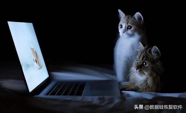 误删的文件不在回收站如何找回？2招任选，完成恢复