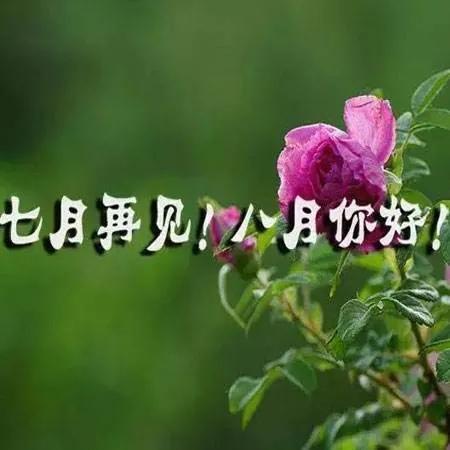 七月再见的句子，7月再见的句子（七月再见八月你好唯美句子文案）