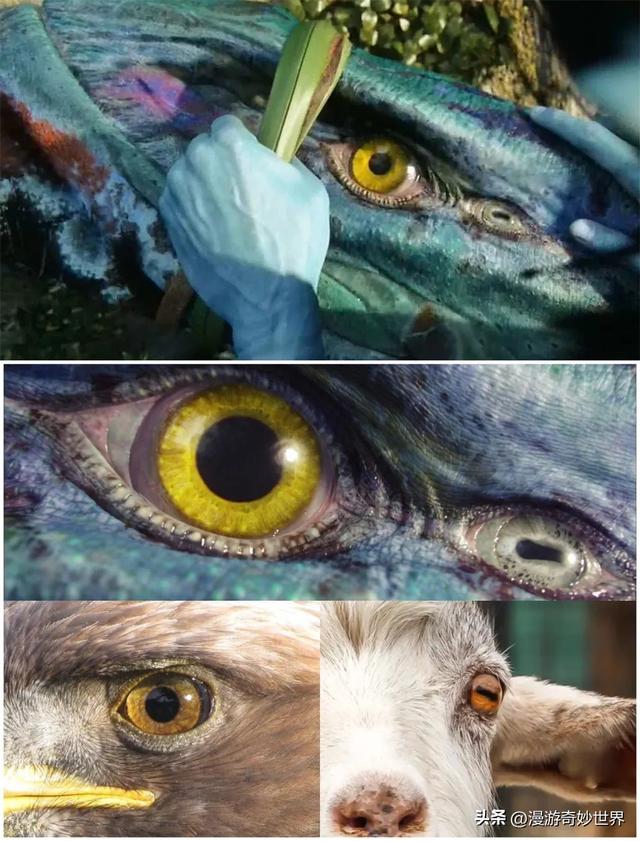 美国国旗上有多少颗星星，美国国旗有多少颗星星（还有这么多你不知道的细节…）