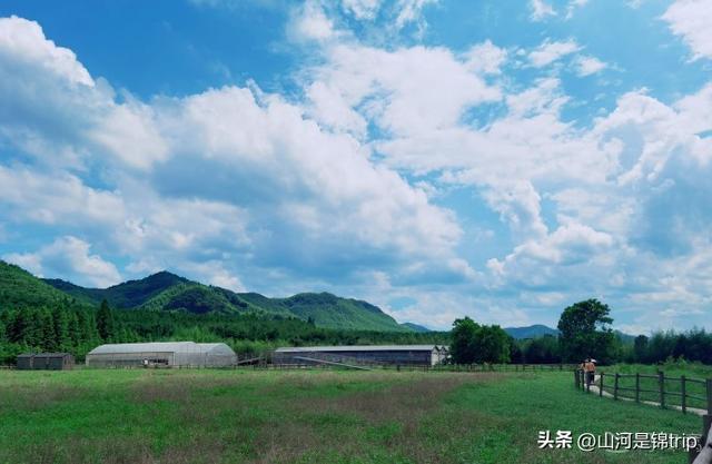 亲子游去哪里玩比较好，暑期亲子游（国内最具特色的十大亲子农场推荐）