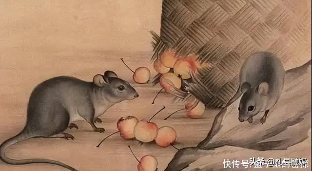 蜈蚣和蛇的毒哪个厉害，为什么身为五毒之一的蜈蚣