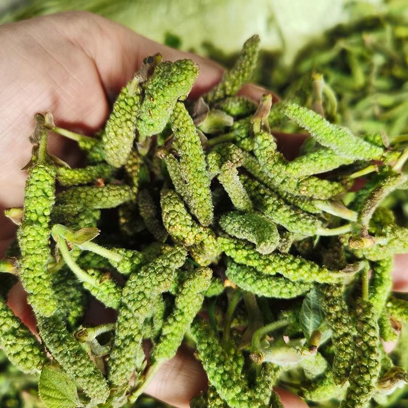 农村能吃的100种野菜图片，有哪些野菜可以吃