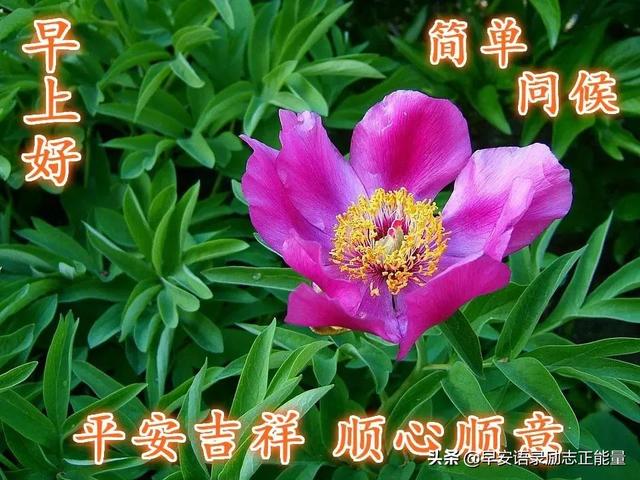 抖音语录经典语录，抖音上的说说经典语录（正能量早安发朋友圈的句子）