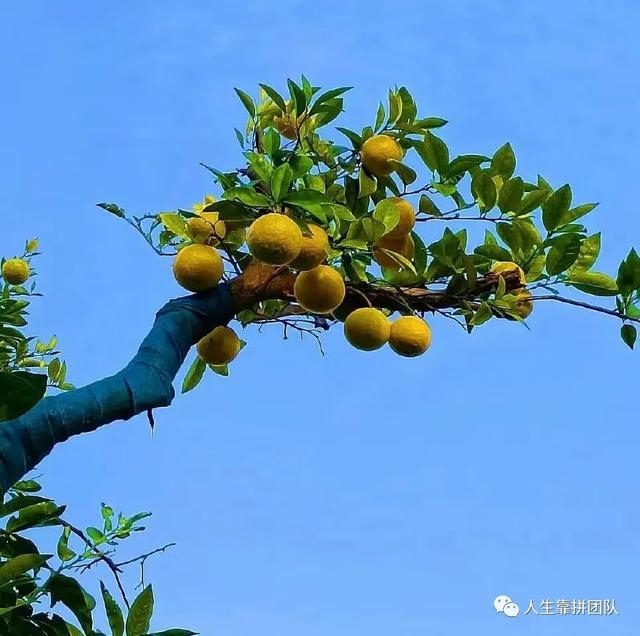 执行案件的期限是多少，欠钱不还网上立案后多久受理（\u003c汇集\u003e关于执行案件的法律）