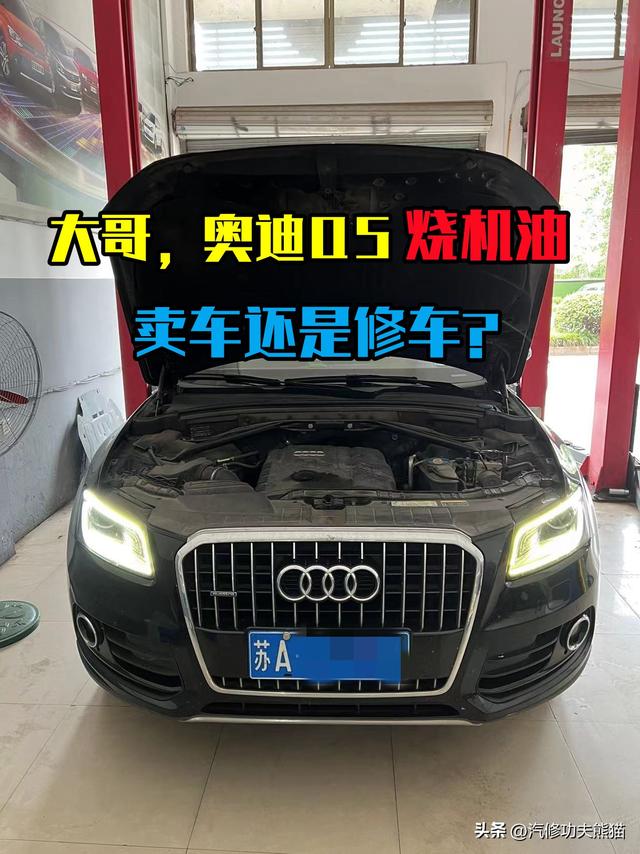 2013奥迪q5，2013款奥迪q5怎么连接手机（且看你现在机油烧得欢）