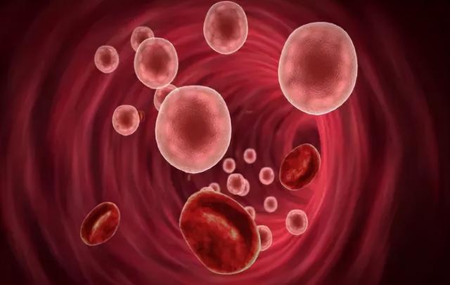 血小板高如何治疗，老年人血小板减少症治疗的最好方法（血小板减少的正确治疗方案是什么）