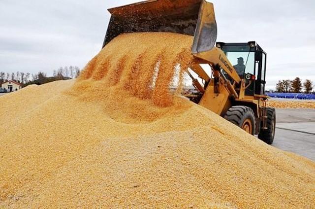 津巴布韦是哪个国家，有多少个人口（一个经济崩溃的非洲国家）