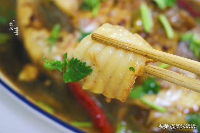 红烧鱼的家常做法大全，家常红烧鲤鱼的做法和步骤（这个做法我最喜欢）